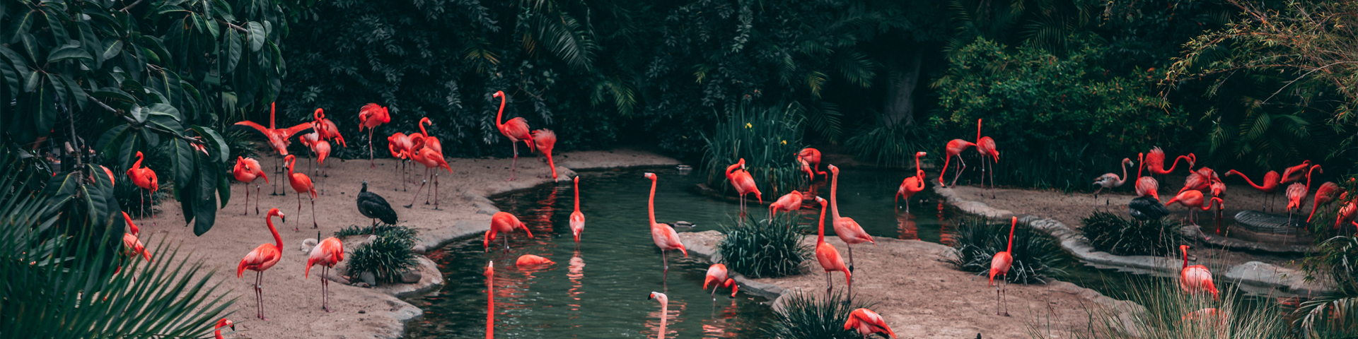 北京易杨国际旅行社有限公司驻马店第二网点